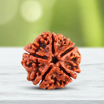 5 Mukhi Rudraksha Without Pendant | Original Nepali | Natural and Lab Certified | Helps to Improve Self Confidence, Spiritual Growth Negative Energies For Men & Women