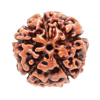 5 Mukhi Rudraksha Without Pendant | Original Nepali | Natural and Lab Certified | Helps to Improve Self Confidence, Spiritual Growth Negative Energies For Men & Women