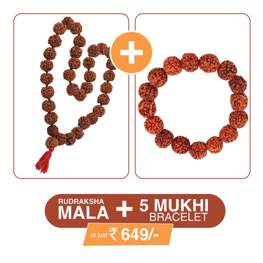 Divine Rudraksha Combo – Mala + 5 Mukhi Bracelet