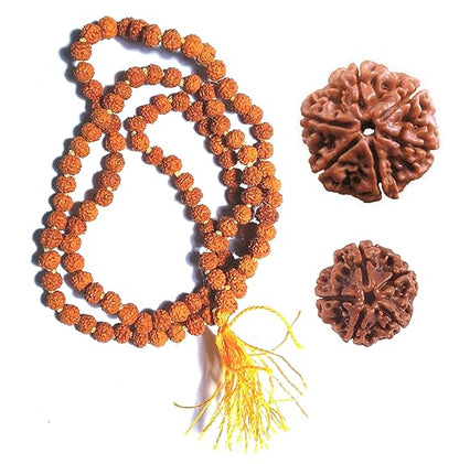 5 Mukhi Rudraksha + Mala Combo
