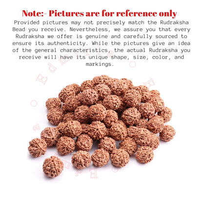 5 Mukhi Rudraksha Without Pendant | Original Nepali | Natural and Lab Certified | Helps to Improve Self Confidence, Spiritual Growth Negative Energies For Men & Women