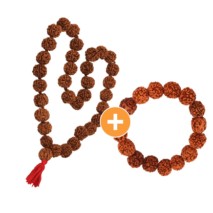 Divine Rudraksha Combo – Mala + 5 Mukhi Bracelet